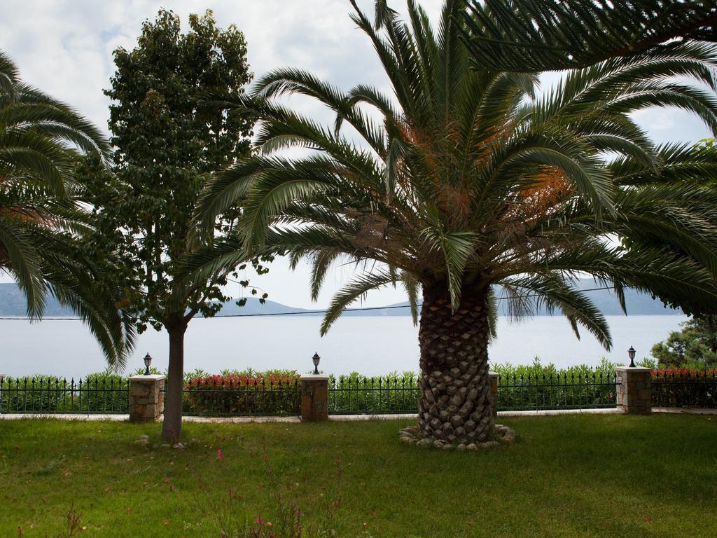 Alonissos Muses Villas Kalamakia Exteriér fotografie